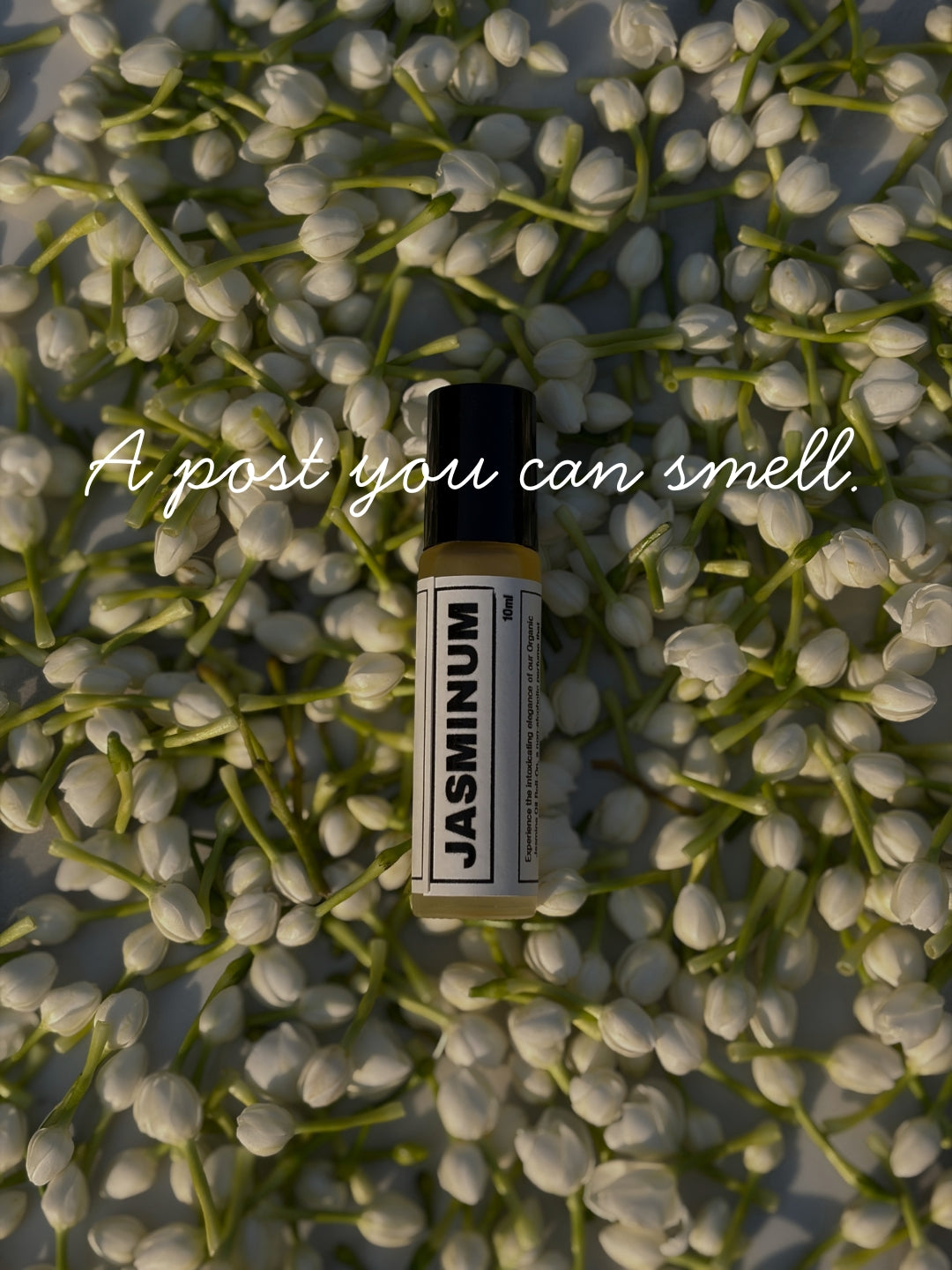 Small bottle of Jasminum perfume surrounded by jasmine flowers with text 'A post you can smell.'